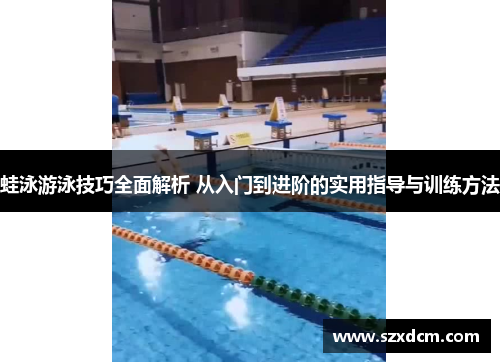 蛙泳游泳技巧全面解析 从入门到进阶的实用指导与训练方法